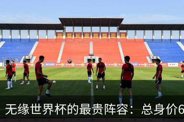 无缘世界杯的最贵阵容：总身价6.7亿 意大利5人